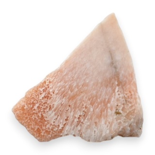 Skolecyt cięty surowy 31x23 mm nr 64