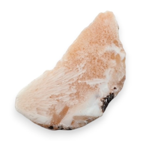 Skolecyt cięty surowy 33x17 mm nr 61