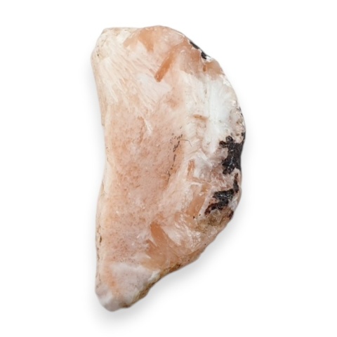 Skolecyt cięty surowy 33x17 mm nr 61