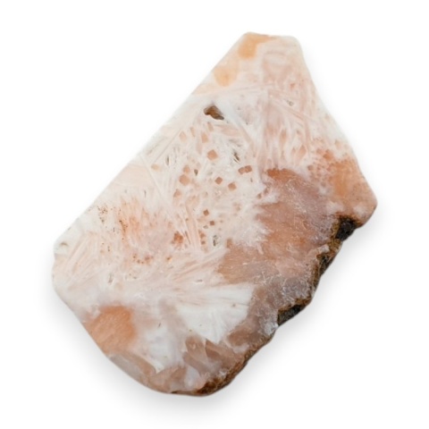 Skolecyt cięty surowy 33x20 mm nr 36