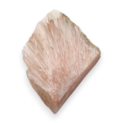 Skolecyt cięty surowy 33x22 mm nr 8