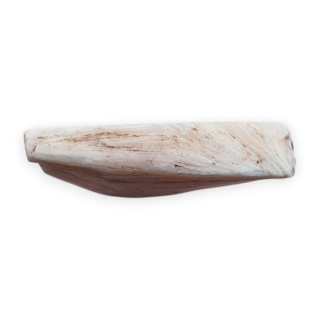 Scolecite cut raw 33x27 mm no 31