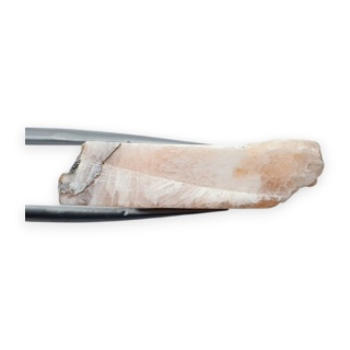 Scolecite cut raw 34x26 mm no 7
