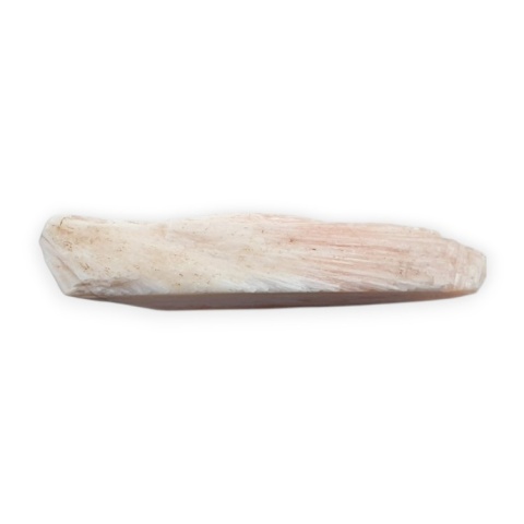 Skolecyt cięty surowy 40x19 mm nr 59