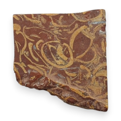 Jaspis mariam cięty surowy 20x18 mm nr 100