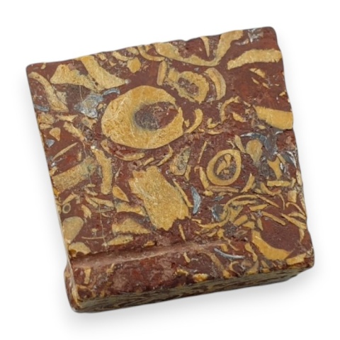 Jaspis mariam cięty surowy 20x20 mm nr 73