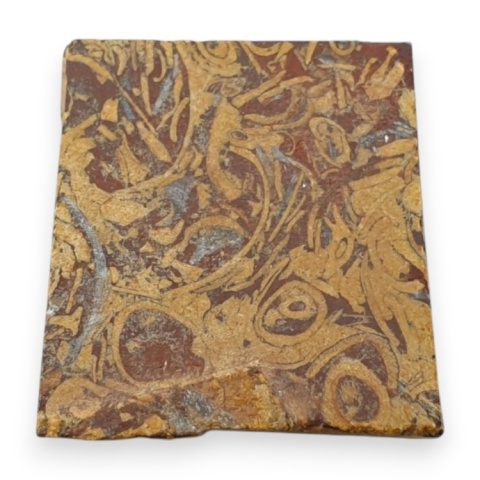 Jaspis mariam cięty surowy 22x20 mm nr 48