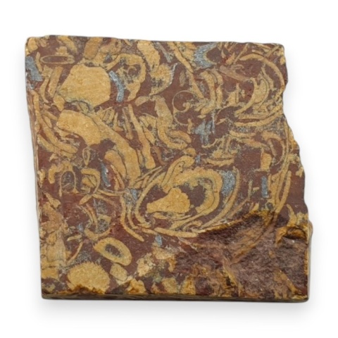 Jaspis mariam cięty surowy 22x21 mm nr 79