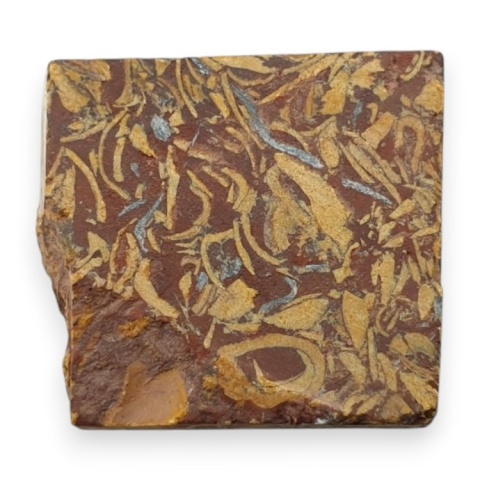 Mariam jasper cut raw 23x21 mm no 25