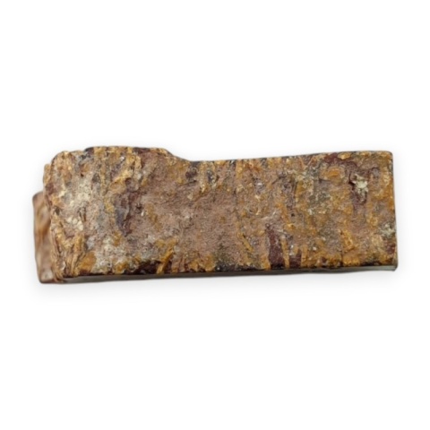 Jaspis mariam cięty surowy 23x22 mm nr 37