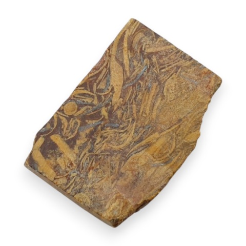 Jaspis mariam cięty surowy 24x18 mm nr 59