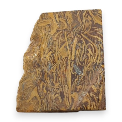 Jaspis mariam cięty surowy 26x22 mm nr 69