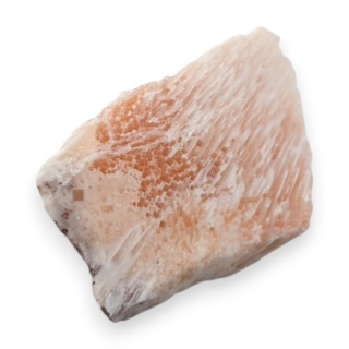 Skolecyt cięty surowy 25x19 mm nr 88