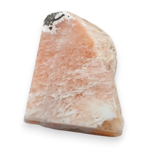 Skolecyt cięty surowy 25x21 mm nr 85