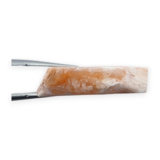 Skolecyt cięty surowy 26x20 mm nr 94