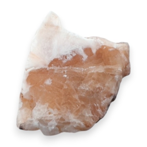 Skolecyt cięty surowy 26x22 mm nr 98