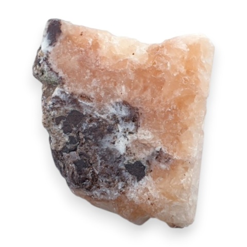 Skolecyt cięty surowy 26x22 mm nr 98