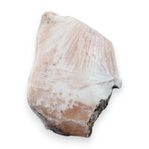 Skolecyt cięty surowy 26x23 mm nr 76