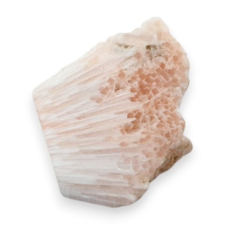 Skolecyt cięty surowy 26x23 mm nr 91