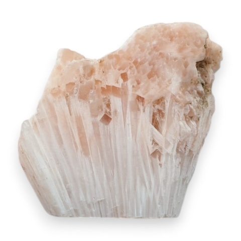 Skolecyt cięty surowy 26x23 mm nr 91