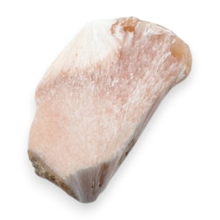 Skolecyt cięty surowy 28x17 mm nr 99