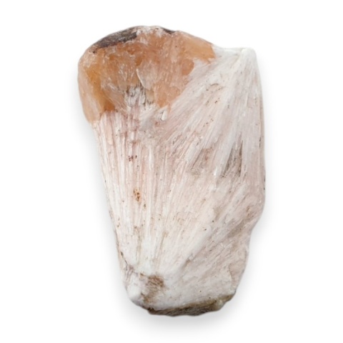 Skolecyt cięty surowy 28x17 mm nr 99