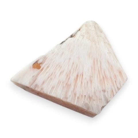 Skolecyt cięty surowy 28x21 mm nr 89