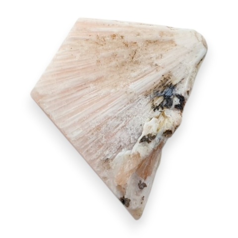 Skolecyt cięty surowy 28x21 mm nr 89