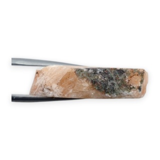 Skolecyt cięty surowy 28x22 mm nr 74