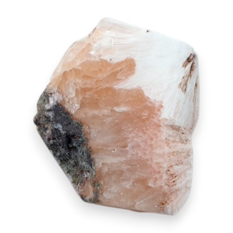 Skolecyt cięty surowy 28x22 mm nr 74