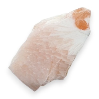 Skolecyt cięty surowy 29x16 mm nr 90