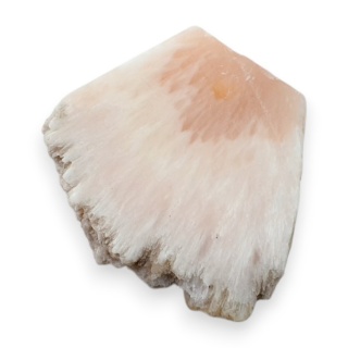 Skolecyt cięty surowy 29x27 mm nr 86