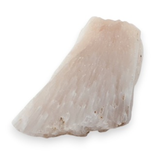 Skolecyt cięty surowy 31x19 mm nr 75