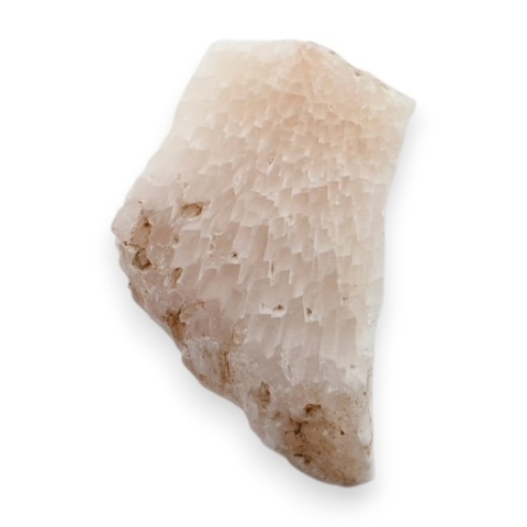 Skolecyt cięty surowy 31x19 mm nr 75