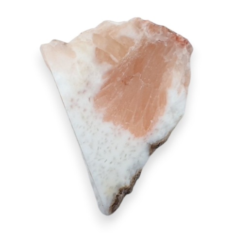 Skolecyt cięty surowy 31x23 mm nr 83