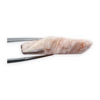 Skolecyt cięty surowy 31x23 mm nr 92