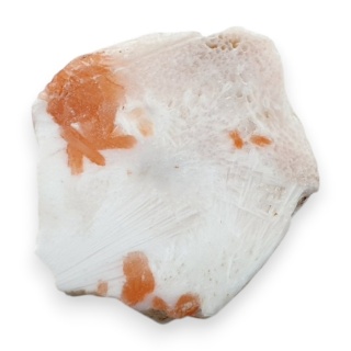Scolecite cut raw 33x29 mm no 82