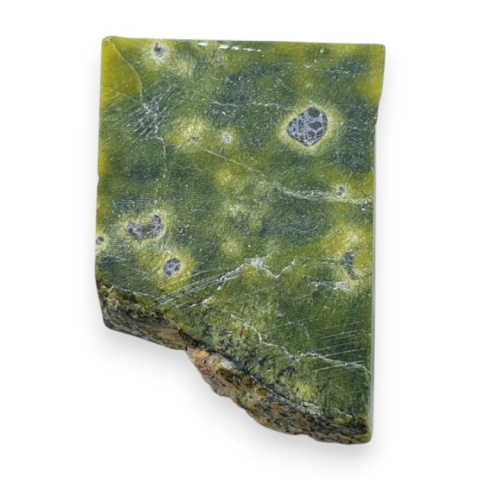 Atlantysite cut raw 31x21 mm no 60