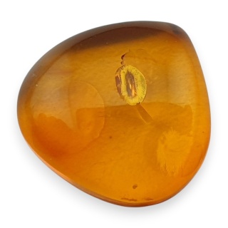 Baltic amber cabochon 13x13 mm no 989