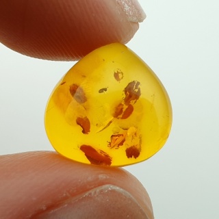 Baltic amber cabochon 13x13 mm no A87