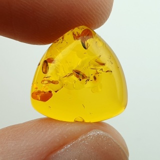 Baltic amber cabochon 14x14 mm no 958