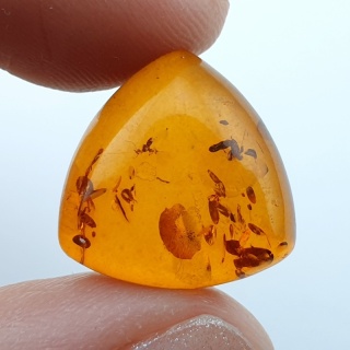 Baltic amber cabochon 15x15 mm no 990