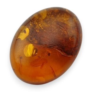 Bursztyn bałtycki kaboszon 16x12 mm nr 951