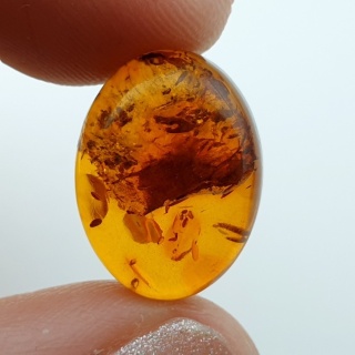 Bursztyn bałtycki kaboszon 16x12 mm nr 951