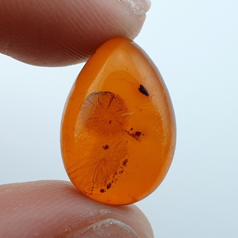 Bursztyn bałtycki kaboszon 17x12 mm nr A90