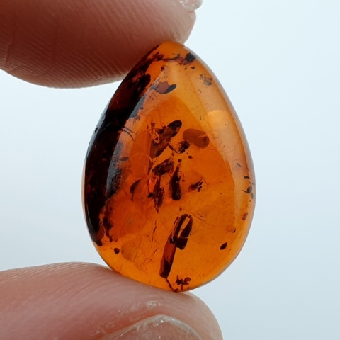 Bursztyn bałtycki kaboszon 18x12 mm nr A96