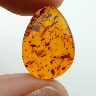 Bursztyn bałtycki kaboszon 18x13 mm nr 953