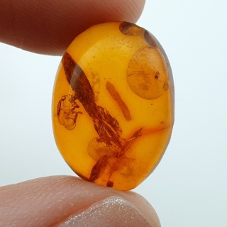Bursztyn bałtycki kaboszon 18x13 mm nr 961