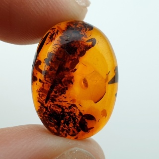 Bursztyn bałtycki kaboszon 18x13 mm nr A141