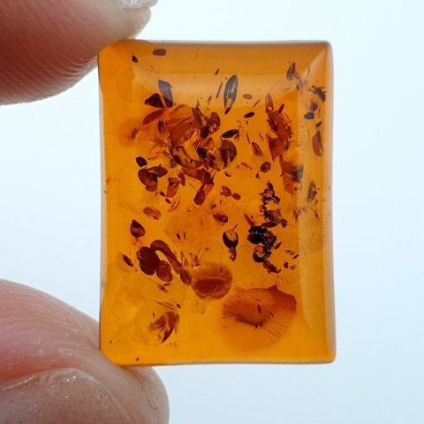 Bursztyn bałtycki kaboszon 18x13 mm nr A21